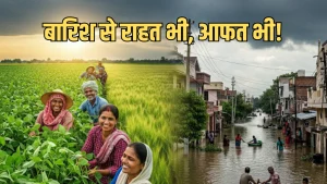 MP Monsoon Report