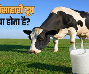 What-is-Non-Veg-Milk