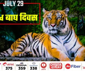 WhatsApp Image 2025-07-29 at 11.33.31 AM
